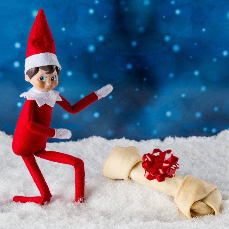 2024 Elf Kit 12/24 Days of Christmas