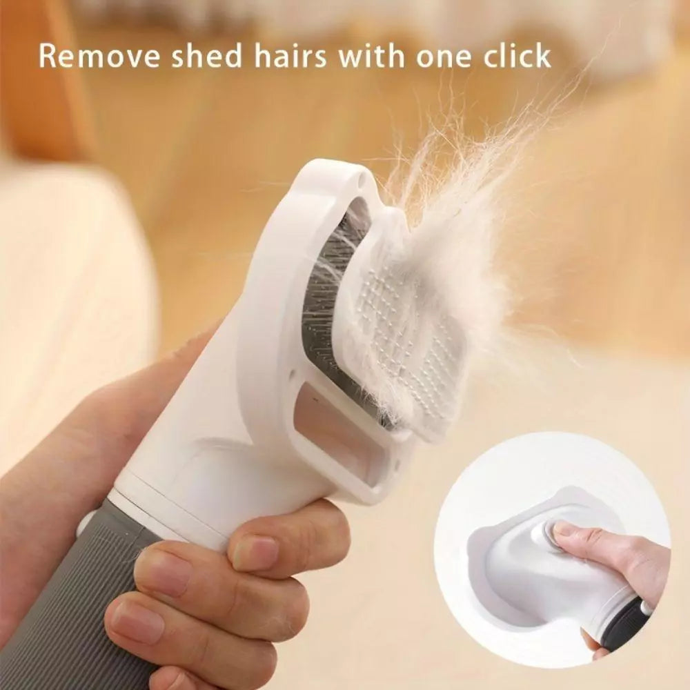 Blow Dryer for Pets
