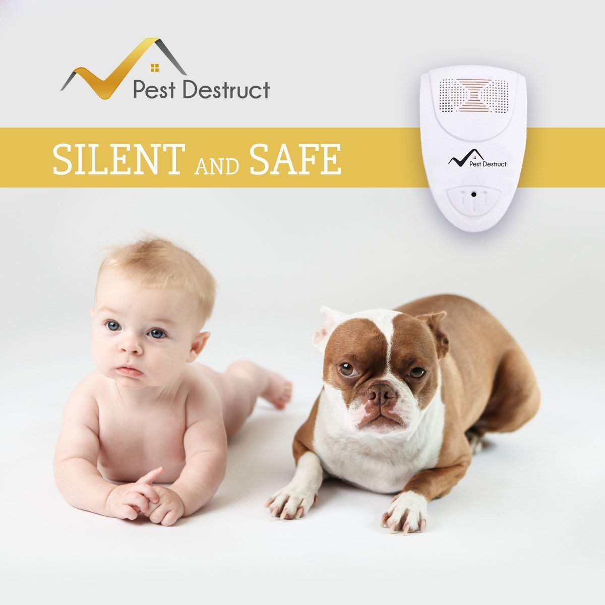 Bat Repellent – Killer Devices – Get Rid Of Bats In 48 Hours