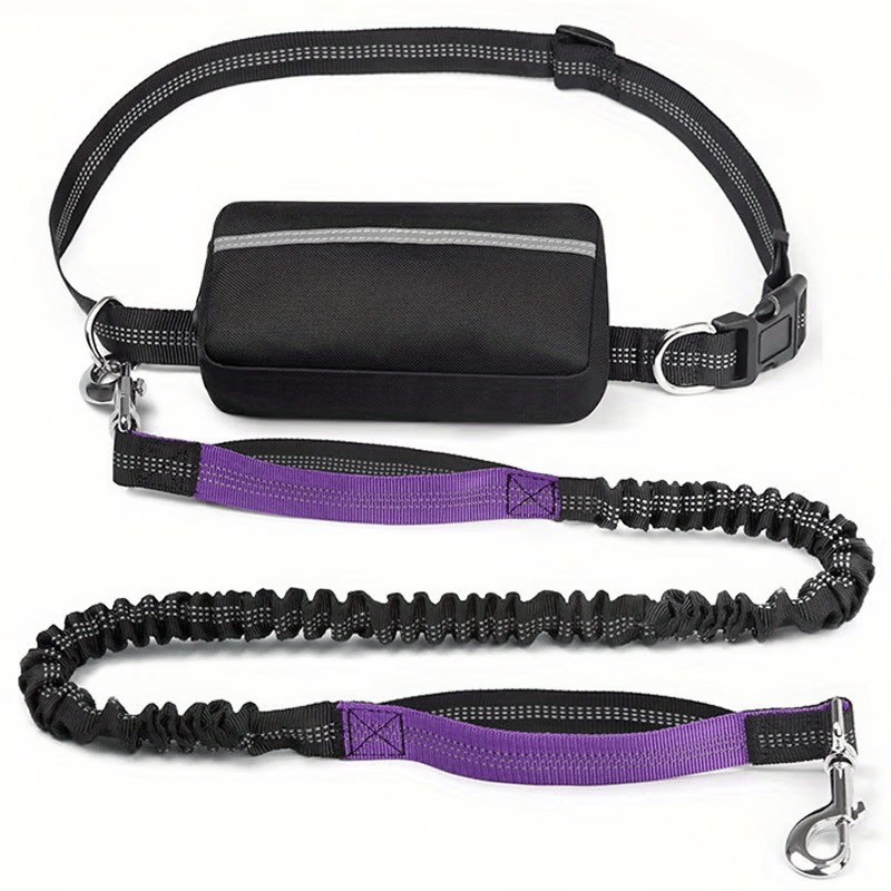 Hands-Free Dog Leash with Shock Absorbers and Storage Pouch