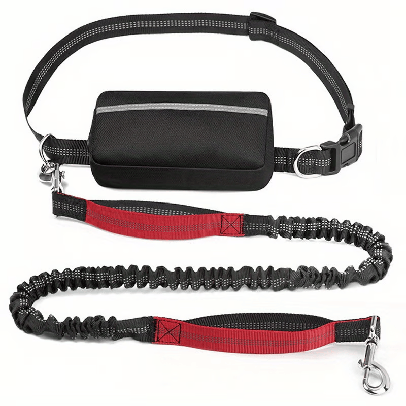 Hands-Free Dog Leash with Shock Absorbers and Storage Pouch