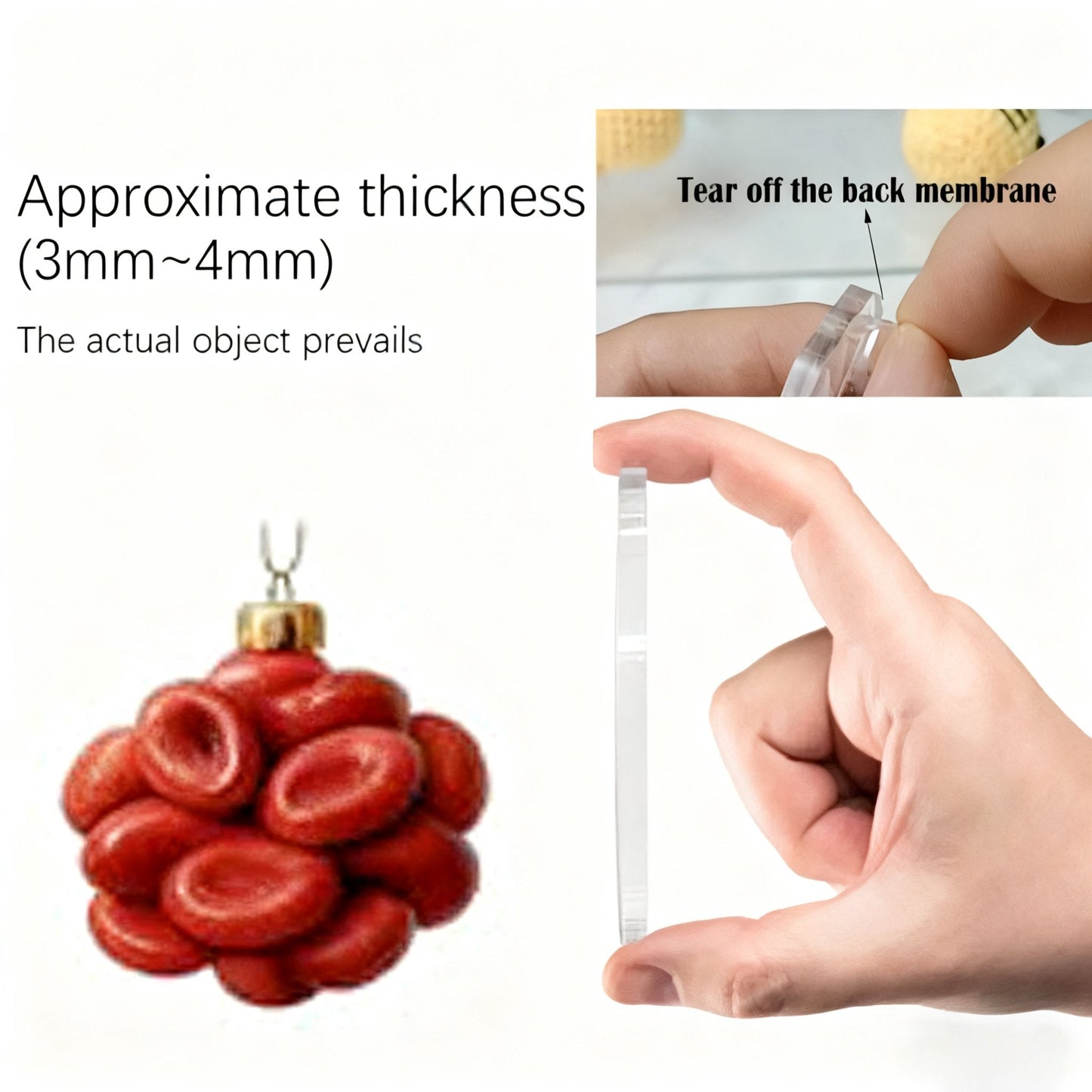2025 Anatomy Advent Calendar