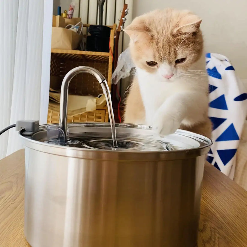 Stainless Steel Cat Water Fountain