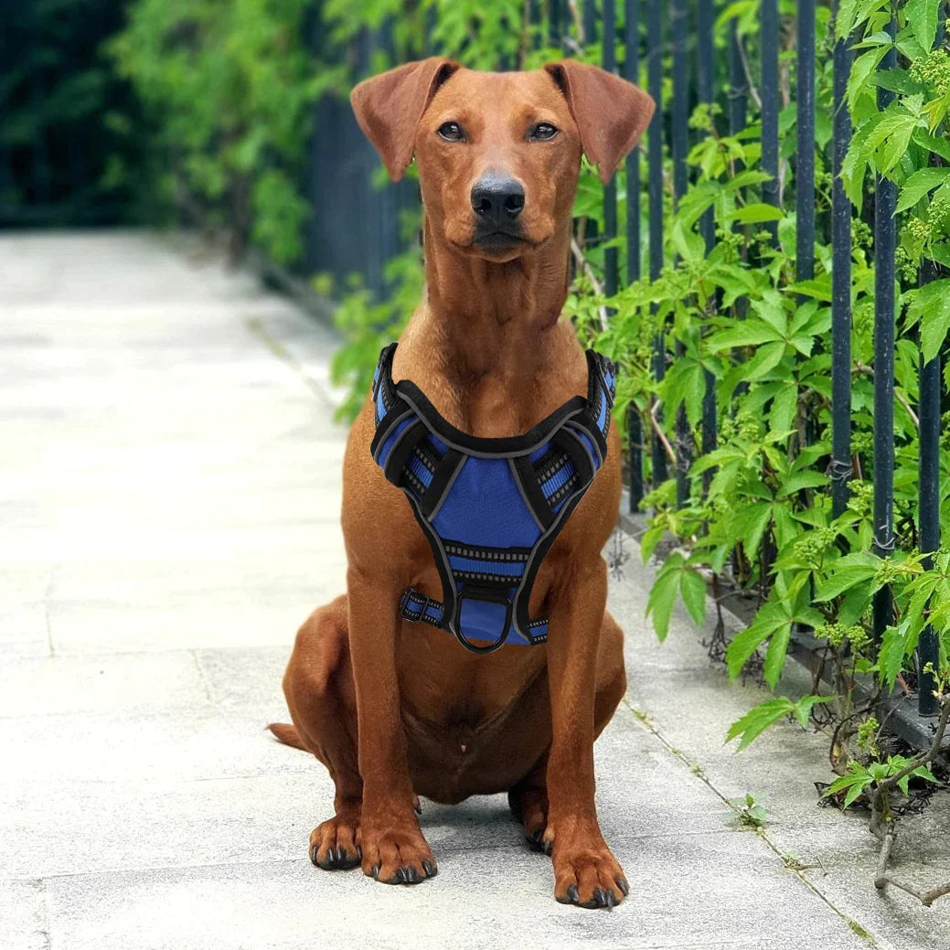 Dog Harness (No-Pull & Reflective Dog Harness)