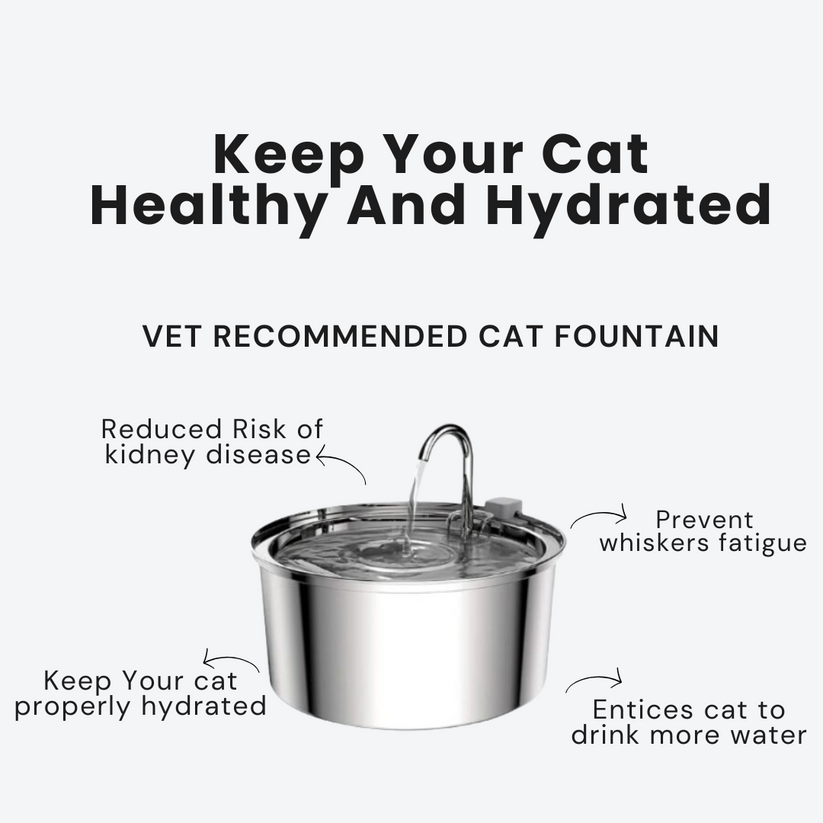 Stainless Steel Cat Water Fountain