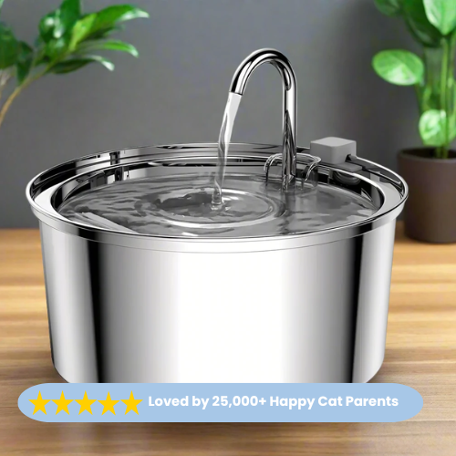 Stainless Steel Cat Water Fountain
