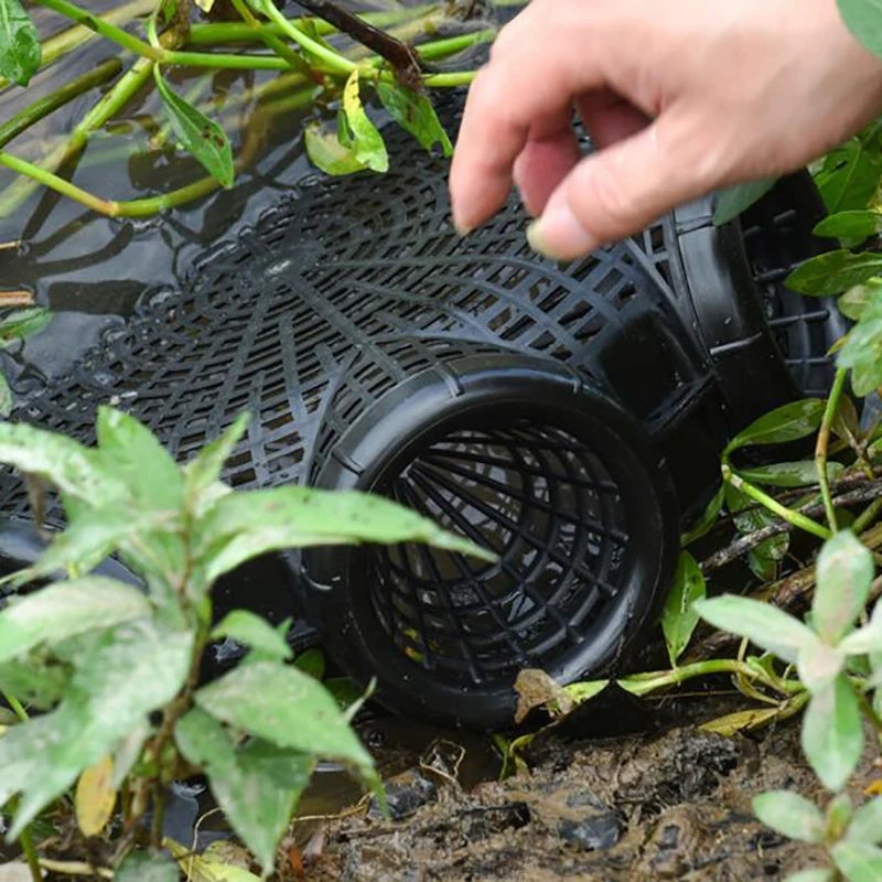 Upgrade Fish Trap