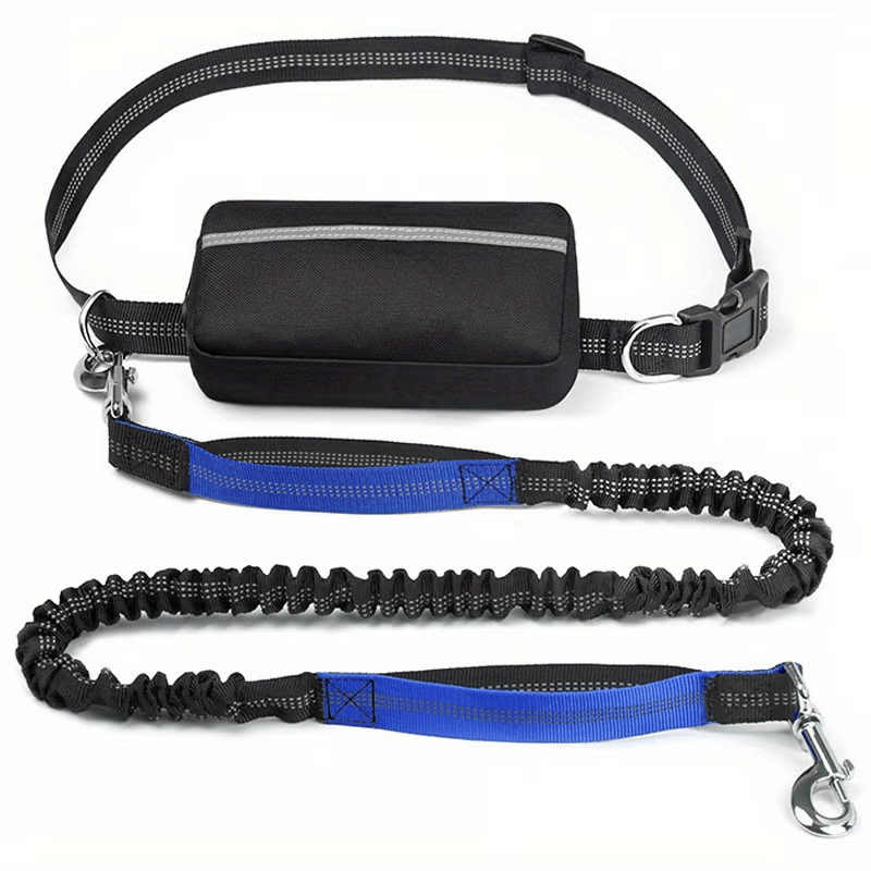 Hands-Free Dog Leash with Shock Absorbers and Storage Pouch