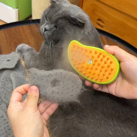 Steamy Cat Brush with Nano Mist Spray Technology