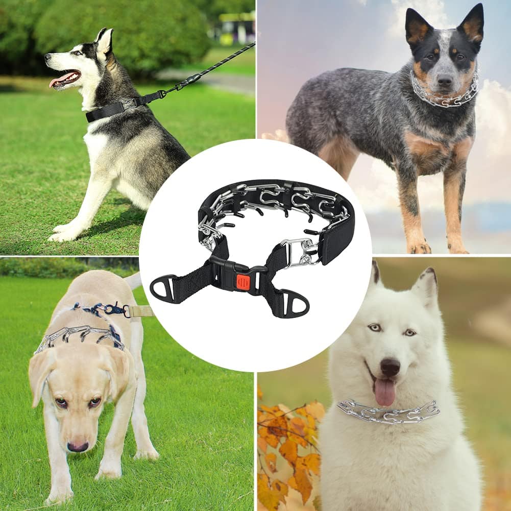 Dog Training Collar with Buckle For Large Dogs(Removable cap)