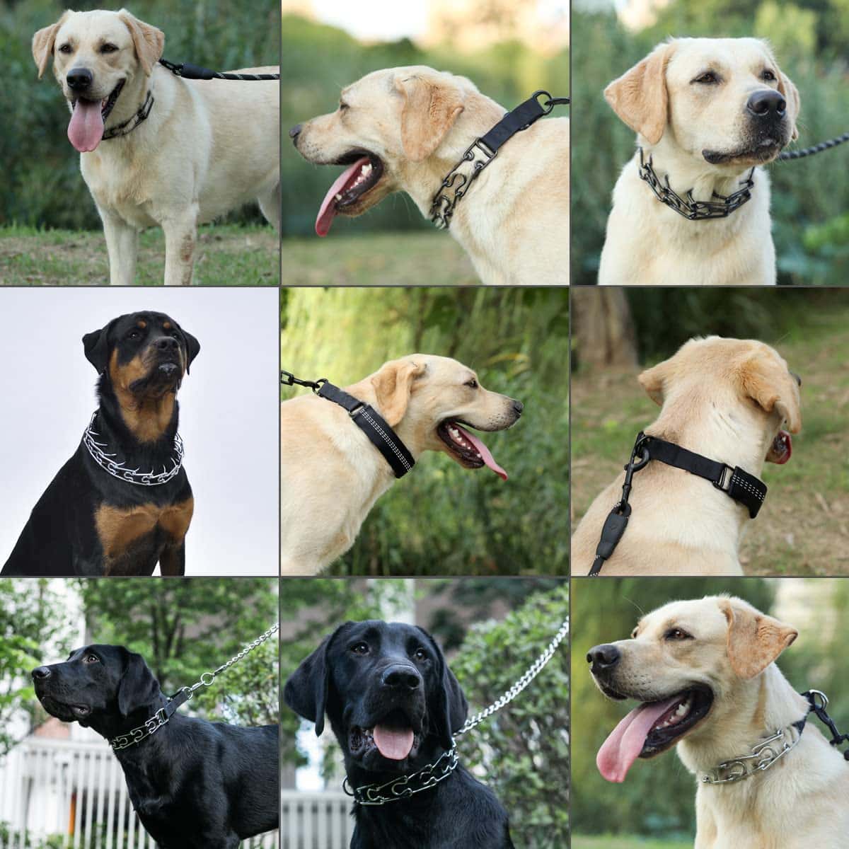 Dog Training Collar with Buckle For Large Dogs(Removable cap)