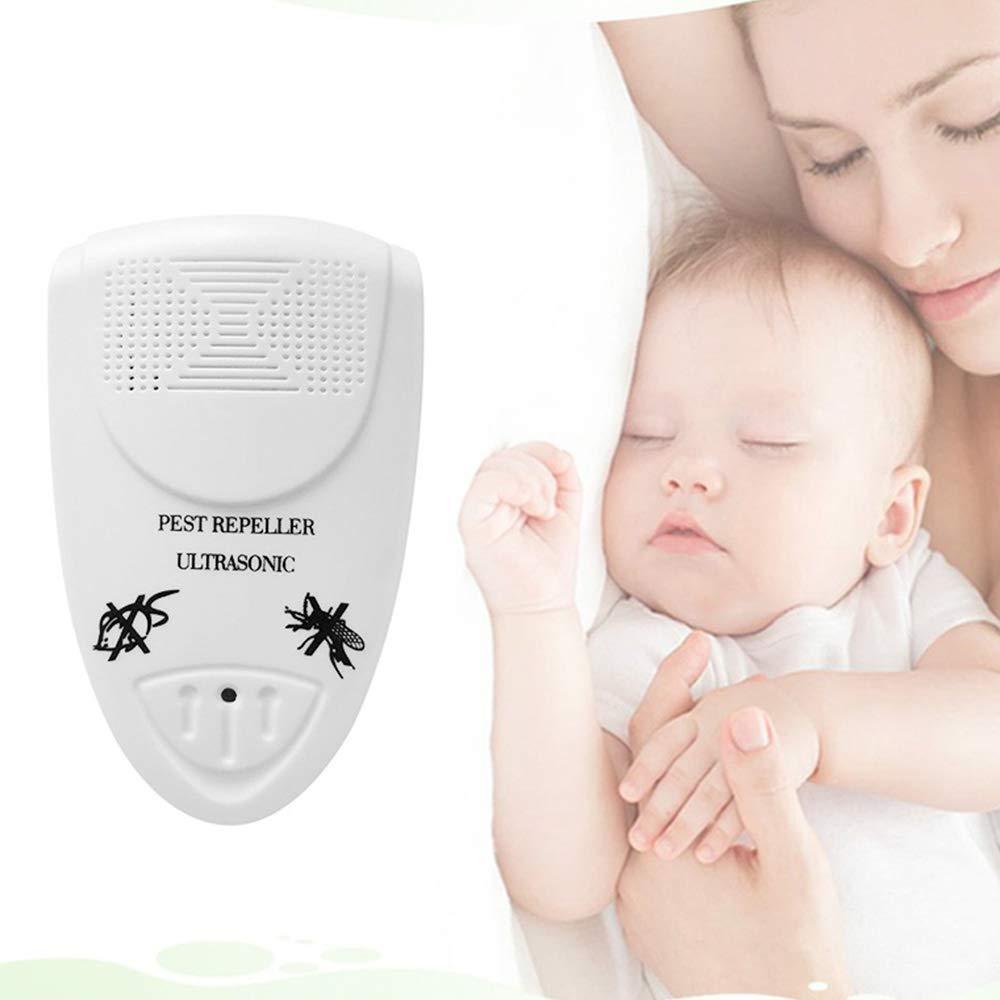 Bat Repellent – Killer Devices – Get Rid Of Bats In 48 Hours