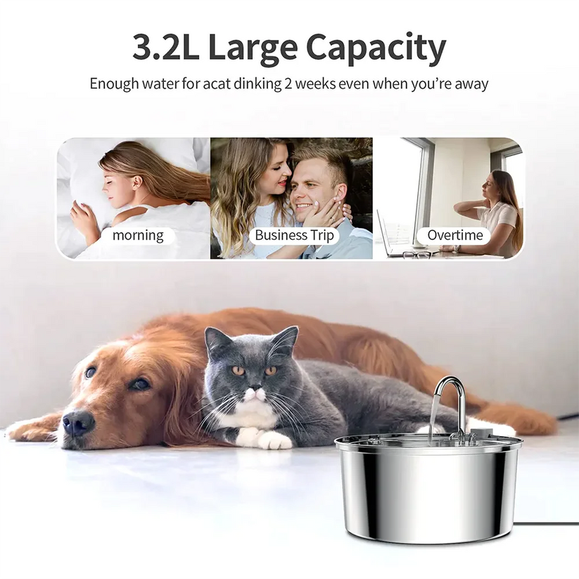 Stainless Steel Cat Water Fountain