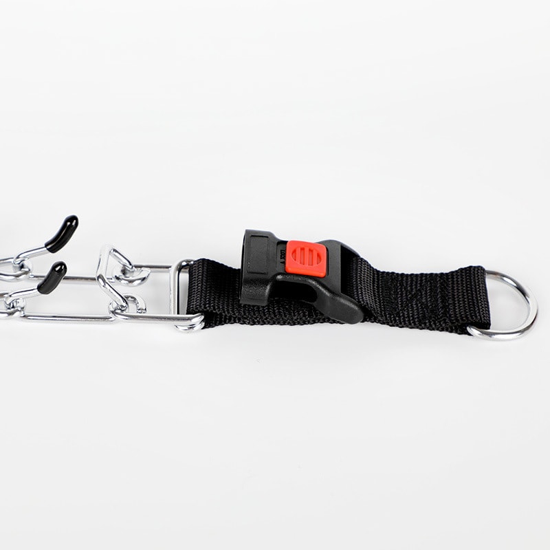 Dog Training Collar with Buckle For Large Dogs(Removable cap)