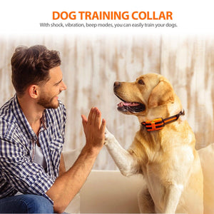 Dog Training Collar