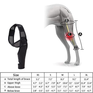 Neoprene Rear Dog Knee Brace for Torn ACL