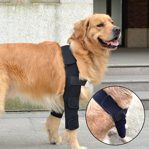 Adjustable Dog Elbow Protector - Canine Front Leg Brace