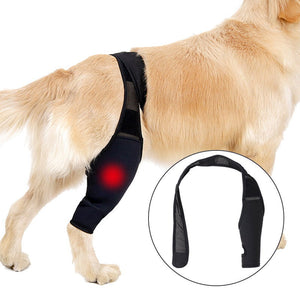 Neoprene Rear Dog Knee Brace for Torn ACL