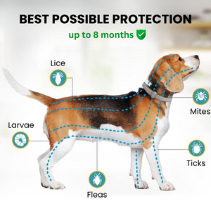 Flea and Tick Prevention for Dogs, Flea and Tick Collar for Dogs, 8 Month Protection