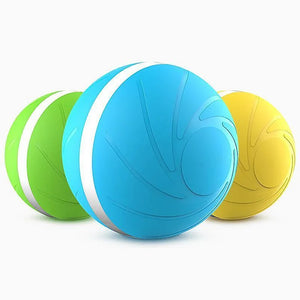 Magic Ball Pet Motion Toy