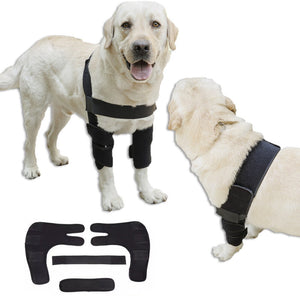 Adjustable Dog Elbow Protector - Canine Front Leg Brace