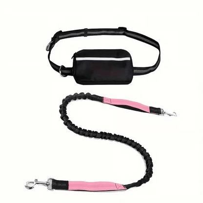 Hands-Free Dog Leash with Shock Absorbers and Storage Pouch