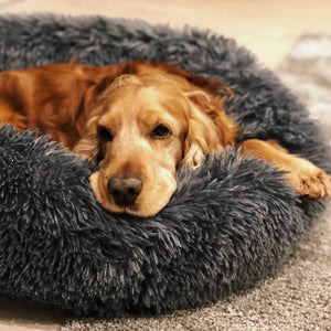 The Original Calming Dog Bed, Deep Sleep Dog Bed, Anti-Anxiety Calming Bed for Pet Comfy