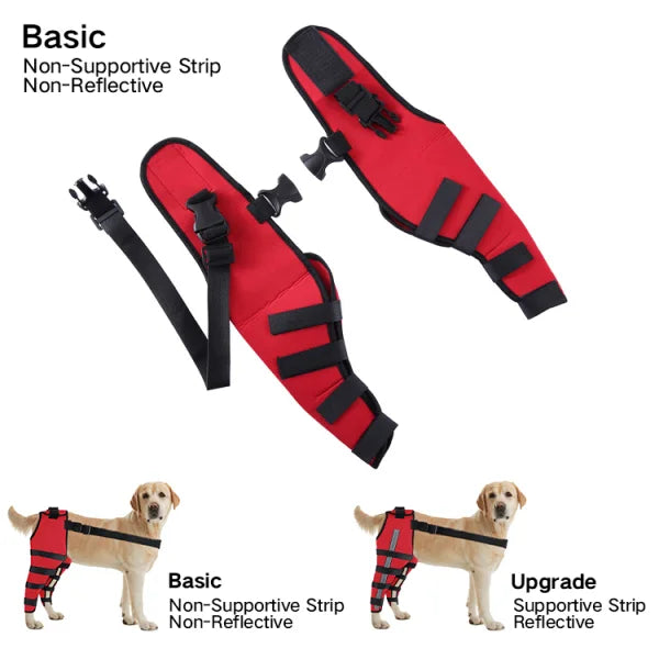 Double Dog Hip Brace with Safety Reflective Straps - Dog Hip Support for Back Leg and Hop Dysplasia