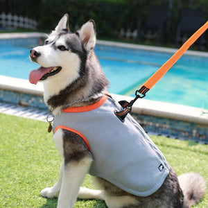 Adjustable Dog Cooling Vest - Cooler Jacket for Outdoor Activities