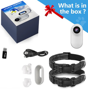 Outdoor Wireless Pet Tracker Collar with Video Recording - No WiFi Needed