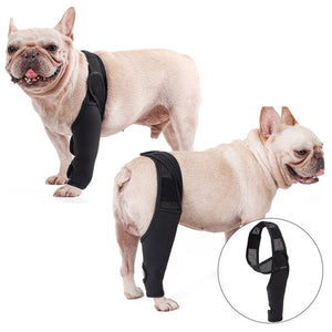 Neoprene Rear Dog Knee Brace for Torn ACL