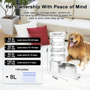 Stainless Steel Pet Waterer - Automatic BPA-Free Water Feeder, 8L Capacity with Two Caps & Filters