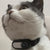 Cat Pet Collar Camera w/ Video and Photo Capabilities