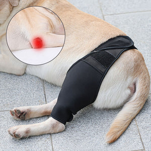 Neoprene Rear Dog Knee Brace for Torn ACL