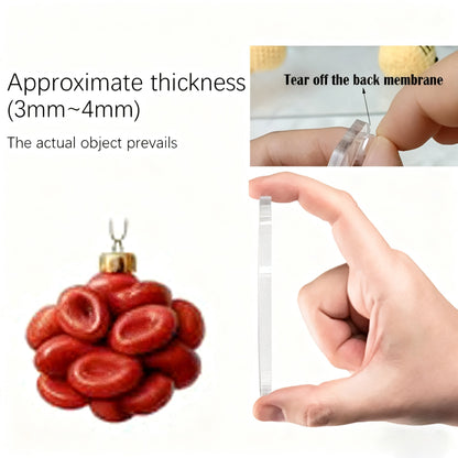 2025 Anatomy Advent Calendar