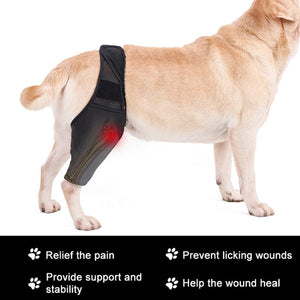 Neoprene Rear Dog Knee Brace for Torn ACL