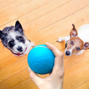 Magic Ball Pet Motion Toy