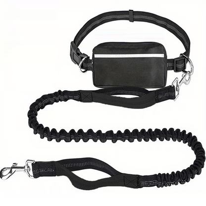 Hands-Free Dog Leash with Shock Absorbers and Storage Pouch