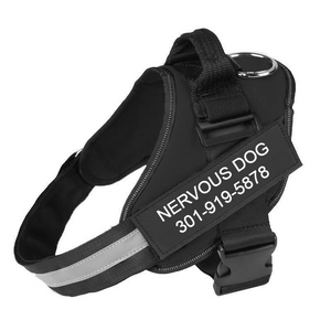 Personalised No Pull Dog Harness