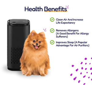 Pet Air Purifier