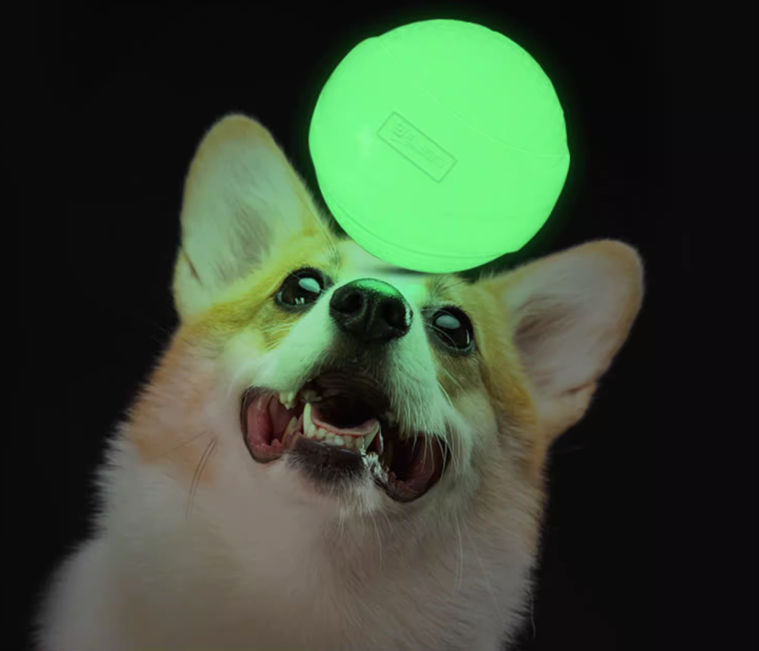 Super Elastic Luminous Dog Ball