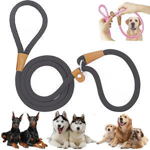 Dog Leash with Comfortable Padded Handle and Highly Reflective Threads for Small Medium and Large Dogs