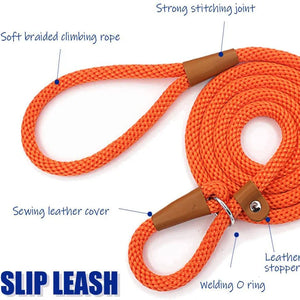 Dog Leash with Comfortable Padded Handle and Highly Reflective Threads for Small Medium and Large Dogs