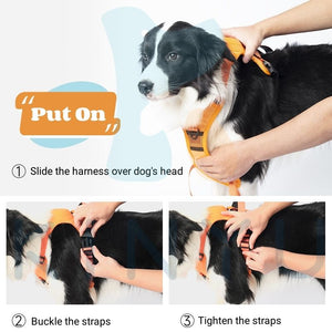 Auto-Lock No-Pull Harness with Built-in Dog Retractable Leash For Walking All Breeds And sizes