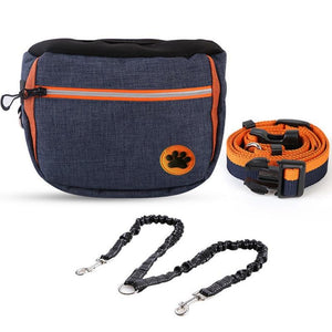 Dog Training Treat Pouch Bag with Built-in Waste Bag Dispenser - Adjustable Waistband, Waterproof, and Portable