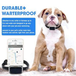 Waterproof GPS Tracker for Pets | Pet GPS Tracker, GPS Dog Collar, Cat & Dog GPS Tracker