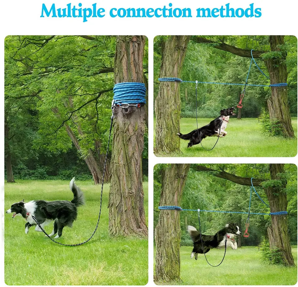 Dog Tie-Out Cable for Camping