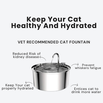 Stainless Steel Cat Water Fountain