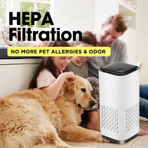 Pet Air Purifier