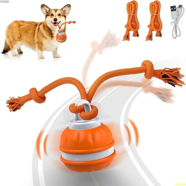 Self Rolling and Motion Activate Ball - Automatic Moving Interactive Ball Toy for Dogs
